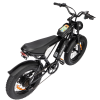 Electric Bike Ridstar Q20 MINI Speed 50km/h 1000W 48V15AH