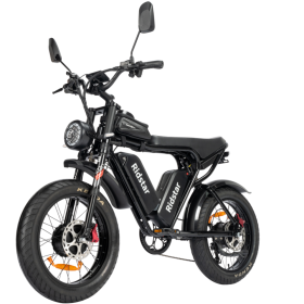 Dual Motor E-bike 2000W 52V 40Ah Fat Tire E-bike