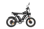 Dual Motor E-bike 2000W 52V 40Ah Fat Tire E-bike