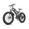 New Pattern Electric Bike Fat Tire With Removable Lithium Battery for Adults