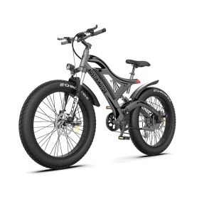 New Pattern Electric Bike Fat Tire With Removable Lithium Battery for Adults (Motor: 750W)