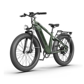 New Pattern Electric Bike Fat Tire With Removable Lithium Battery for Adults (Motor: 1000W)