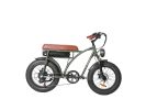 electric bicycle