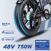 ENGWE EP-2PRO 48V13Ah 45km/h 20 Inch Fat Tire 750W Mountain Electric Bicycle