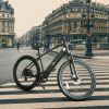 Trustmade Ebike